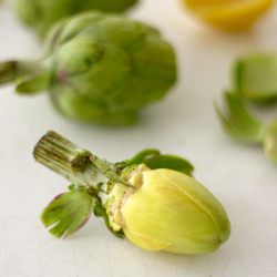 How to Prepare a Baby Artichoke