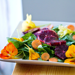 Poppy Seed Dressing and Salad