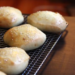 Burger Buns