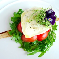 Mixed Tomato Salad