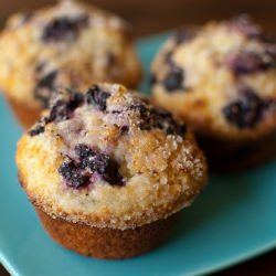 Blueberry Muffins