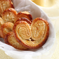 Citrus Palmiers