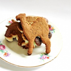 Homemade Vegan Smores
