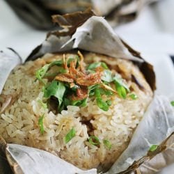 Steamed Glutinous Rice Parcel