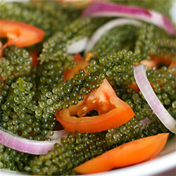 Lato Salad / Seaweed Salad