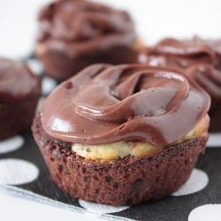 Chocolate Cheesecake Cupcakes