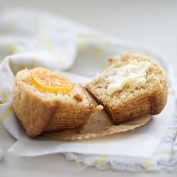 Meyer Lemon Mascarpone Muffins