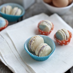 Vanilla Bean Macarons