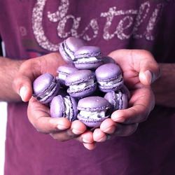 Blackberry Cardamom Macarons