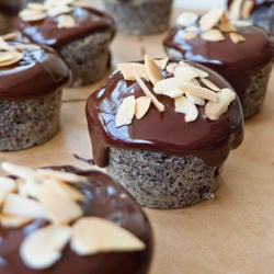 Poppyseed & Almond Cupcakes
