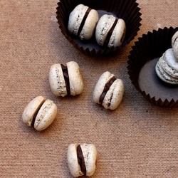 Coffee Macarons