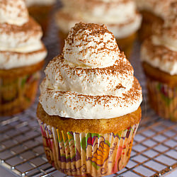 Tiramisu Cupcakes