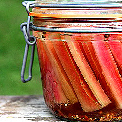 Pickled Chard Stems