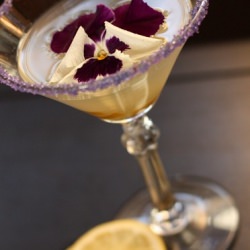 Candied Lemon Drop Martini