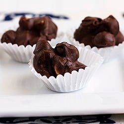 Chocolate Macadamia Nut