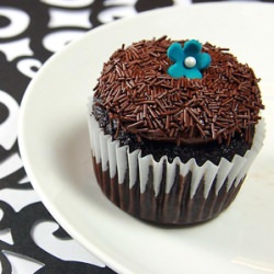 Sinful Bliss Cupcakes