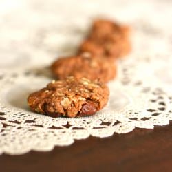 Low Sugar Cookies