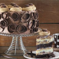 Peanut Butter Chocolate Cheesecake