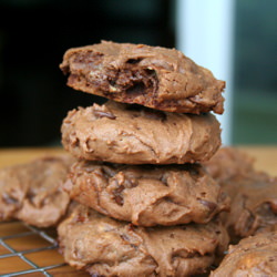 Malty & Chocolatey Cookies