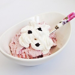 Ice Cream with Blueberries