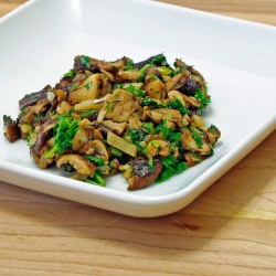 Magic Mushrooms
