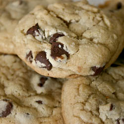 Soft, Chewy Chocolate Chip Cookies