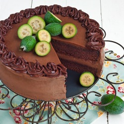 Chocolate Mousse Cake