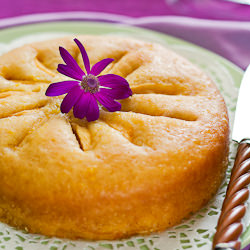 Apple and Almond Cake