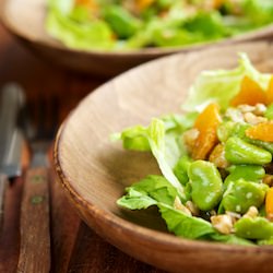 Fava Bean, Walnut & Orange Salad