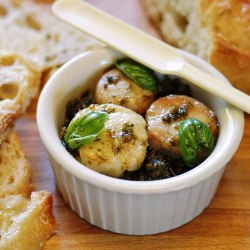 Seared Bone Marrow Medallions