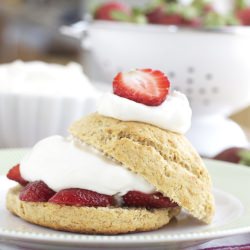Strawberry Shortcake