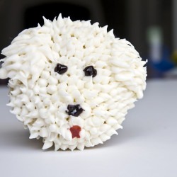 Dog Cupcakes