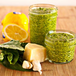 Fresh Basil Pesto