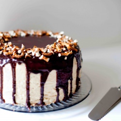 Chocolate Peanut Butter Layer Cake