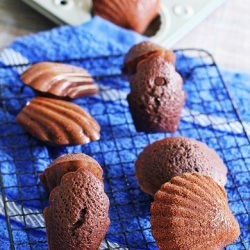 Chocolate Madeleines