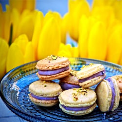 Pistachio Macarons
