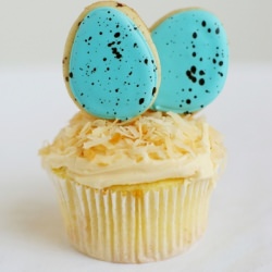 Bird’s Nest Cupcakes