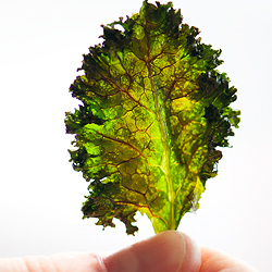 Baked Kale Chips
