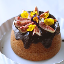 Lemon Ricotta Cake