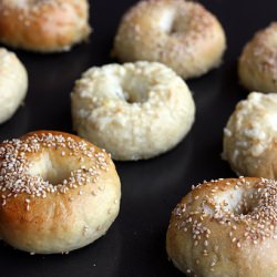 Peter Reinhart’s Bagels