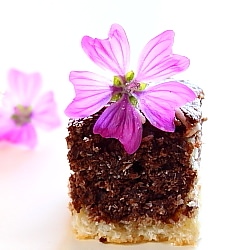 Vegetarian Coconut Cake