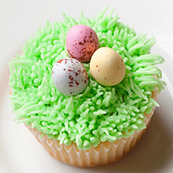 Grass & Egg Easter Cupcakes