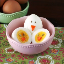 Egg Chicks
