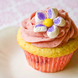 Lemon Raspberry Cupcakes