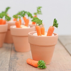 Carrot Patches