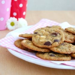Double Chocolate Chip Cookies