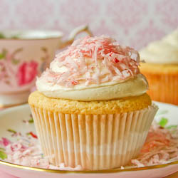 Vanilla Cupcakes