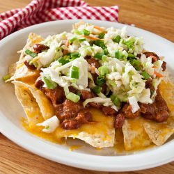BBQ Pulled Pork Nachos