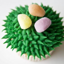 Spring Cupcakes
