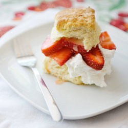 Strawberry Shortcake